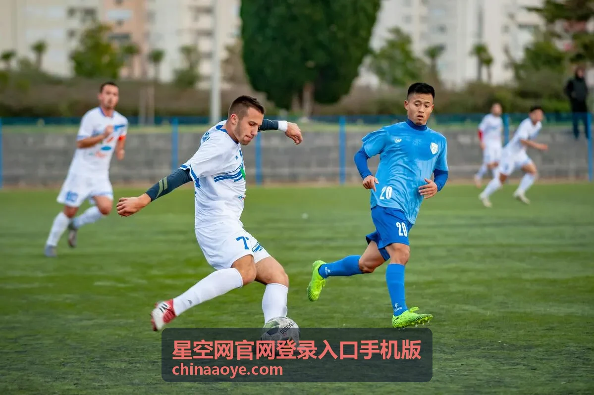 星空网官网登录入口手机版短信验证码输入区域