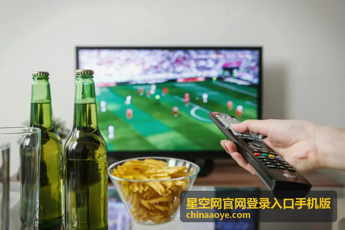 星空网官网登录入口手机版功能说明封面